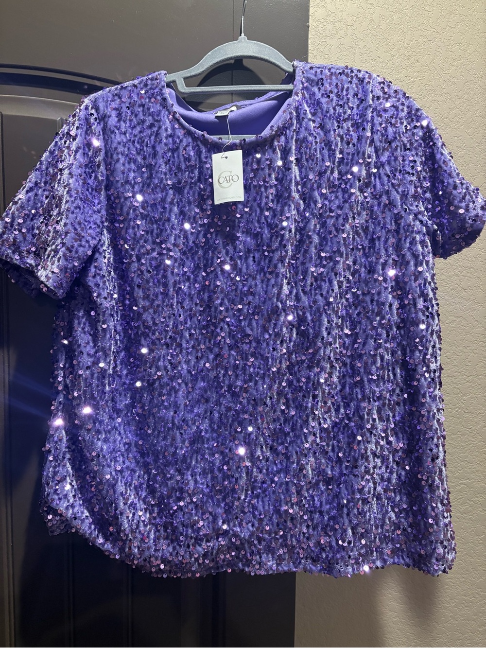 Cato Purple Sequin Short Sleeve Tee